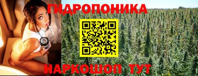 прущие крисы Камышлов