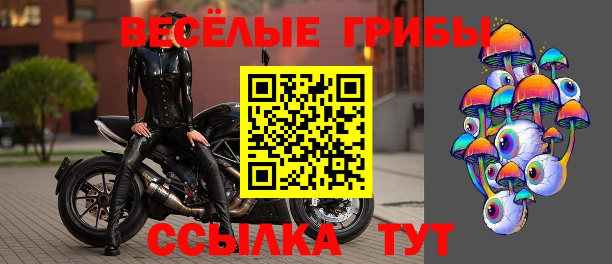 даркнет сайт  Галлюциногенные грибы Magic Shrooms  Вход с VPN  Кудымкар 